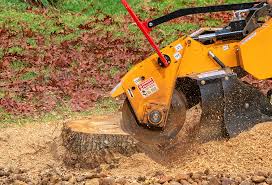 Best Weed Control  in Homestead Valley, CA